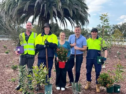 Winter planting season greens City with 3,200 trees