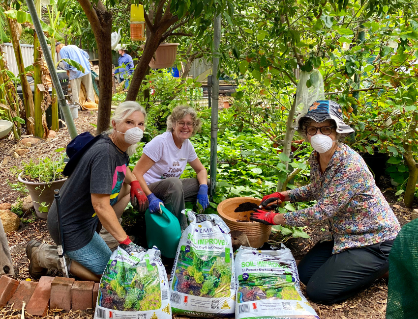 Free FOGO-derived soil improver for residents