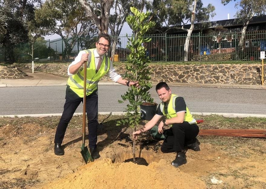 City's winter tree planting season kicks off in Morley