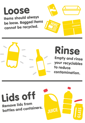 Please empty and rinse recyclables before placing them in your recycling bin. Remove lids from bottles and containers and place them in your general waste bin. Items should always be loose - please do not put plastic bags in your recycling bin.