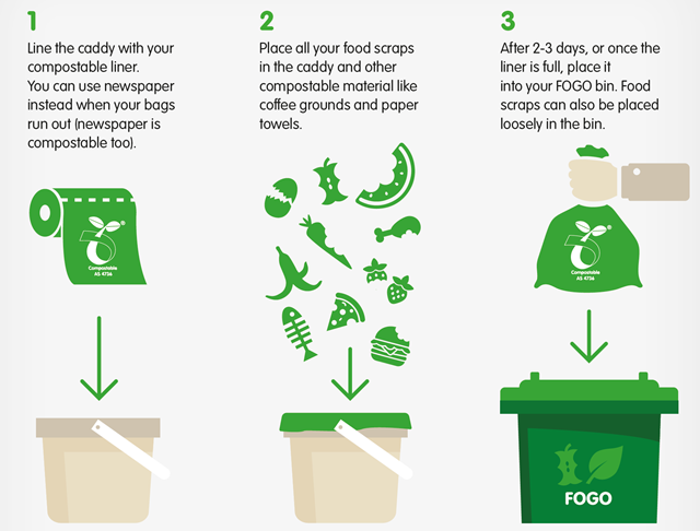 1. Line the caddy with a compostable liner. You can use newspaper as an alternative. 2. Place your food scraps and other compostable items like paper towels into the caddy. 3. After 2 or 3 days, or once the liner is full, remove the liner and its contents and place them into your FOGO bin. Food scraps may also be placed loosely in the bin.